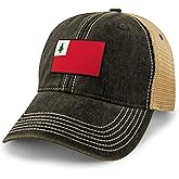 Vintage New England Flag Dirty Water Trucker Hat