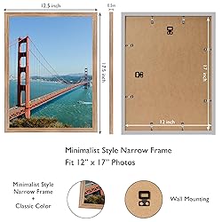 HEYTUYA 12x17 Picture Frame Rustic Brown for Wall