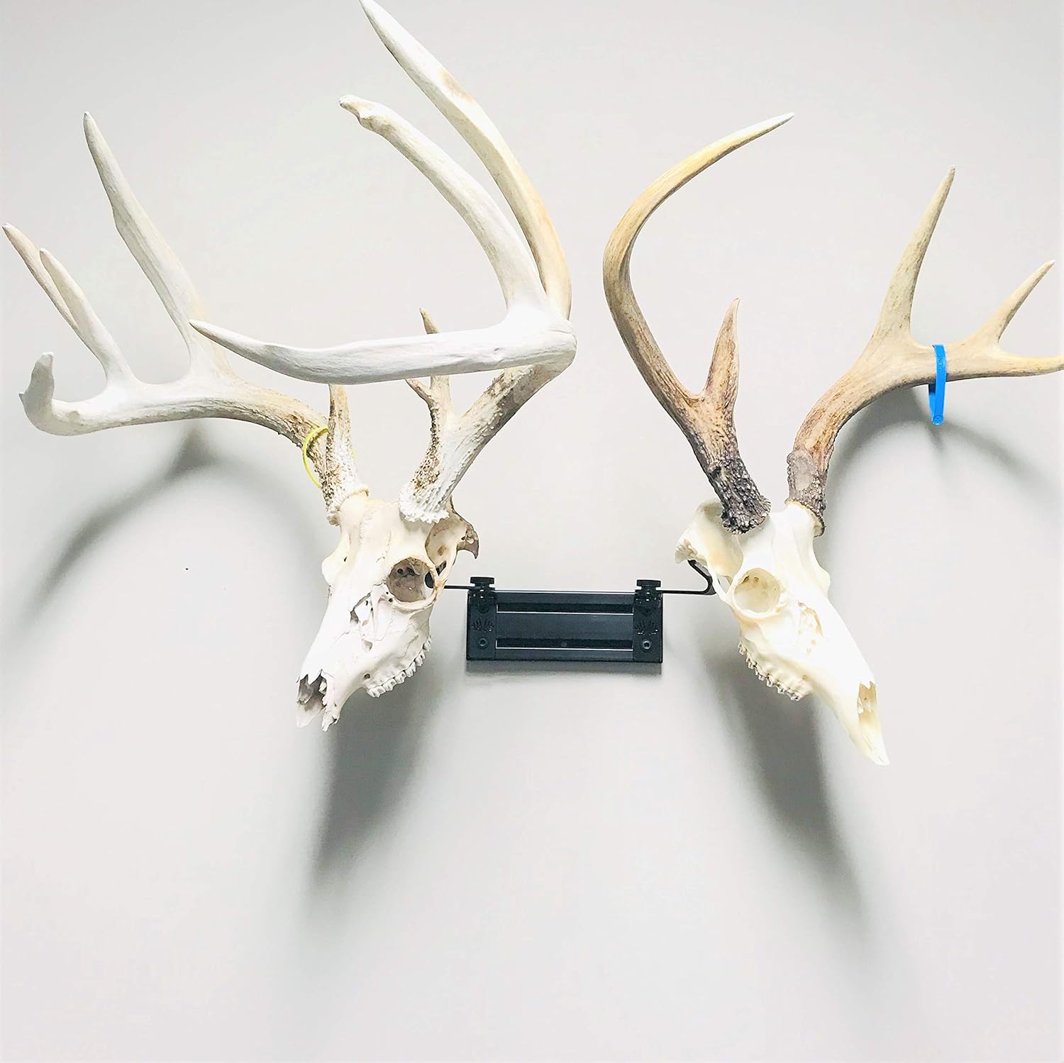 RACK TRACK European Skull Mounting Kit 8” Kit 2 (2