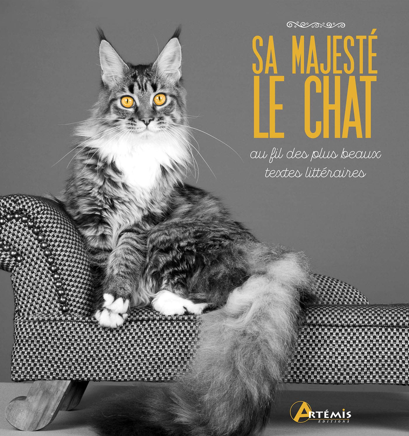 Sa Majeste Le Chat Au Fil Des Plus Beaux Textes Litteraires French Edition Collectif Amazon Com Books