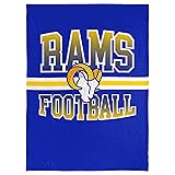 FOCO NFL Micro Raschel Plush Throw Blanket, Stripe