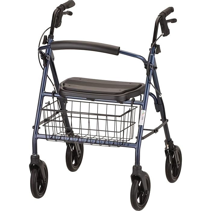 Buy NOVA Medical Products Bariatric Rollator Walker, 400 lb Weight