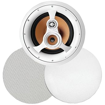 Bic Venturi H 310c 10 Inch 3 Way Ceiling Speaker Amazon In