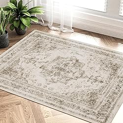 PureCozy Vintage Area Rug 2x3 Indoor Entryway Rug