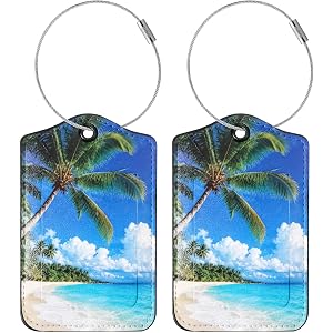 2 Pcs Luggage Tags for Suitcases | Palm Tree Cute PU Leather Suitcase Tag Identifiers with Stainless Steel Loop and Address C