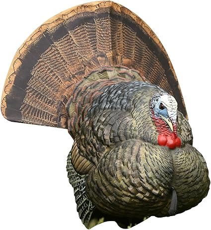 Amazon Com Avian X Strutter Turkey Decoy Hunting Decoys