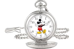 81GMF9JTOKL._AC_UL300_SR300,200_ How to Store Watches to Preserve Their Value?