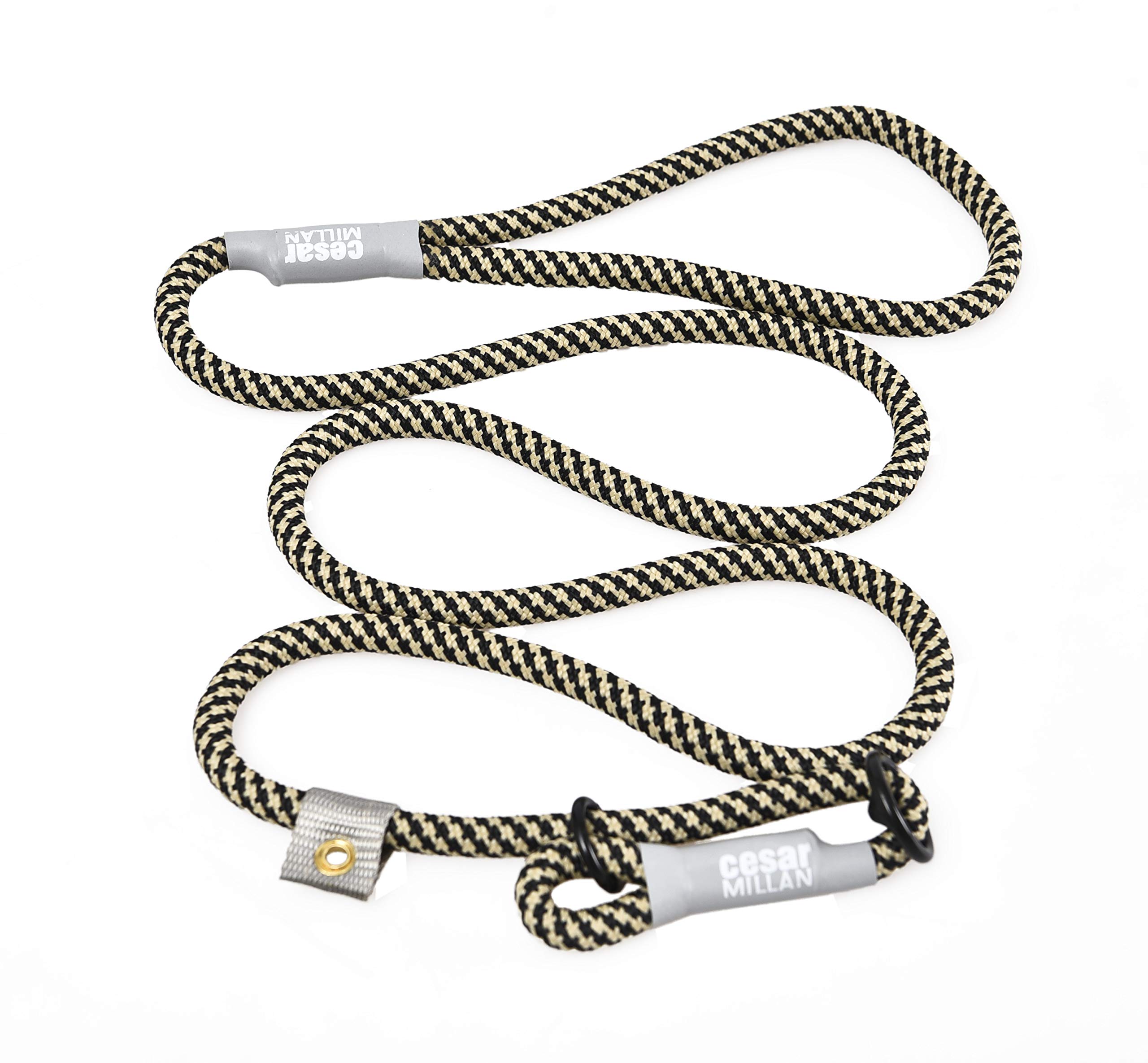 Cesar Millan Slip Lead Leashโข - Slip Collar Training Lead Gives You Greater Control and The Ability to Make Quick and Gentle Corrections (Regular, Black/Tan) โ image 1
