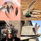 TZMFHD 50 Pcs Pheasant Feathers 12-20cm Natural Craft Feathers 4 Styles DIY view 6