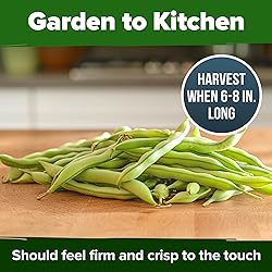 HOME GROWN