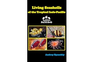 kindle best category lists