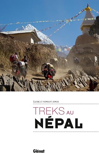 Download Treks au Népal PDF