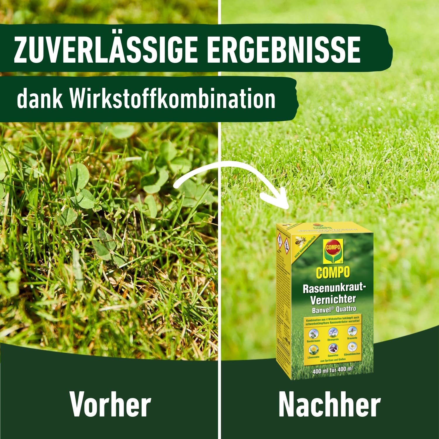 COMPO Rasenunkraut-Vernichter Banvel Quattro, Bekämpfung von schwerbekämpfbaren Unkräutern im Rasen, Konzentrat, 400 ml (400 m²) 5