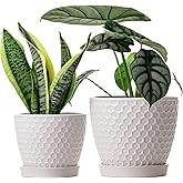 Docrin Ceramic Plant Pots Set of 2 (6.6"+5.5"), High-Fired Clay Indoor Planters with Drainage Holes & Saucer, Honeycomb Modern Home Decor for All House Plants