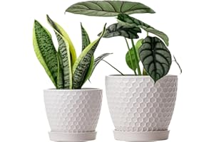 Docrin Ceramic Plant Pots Indoor, 6.6 + 5.5 Inch Flower Pots with Drainage Holes and Saucer for Plants, Set of 2, Milky White Honeycomb