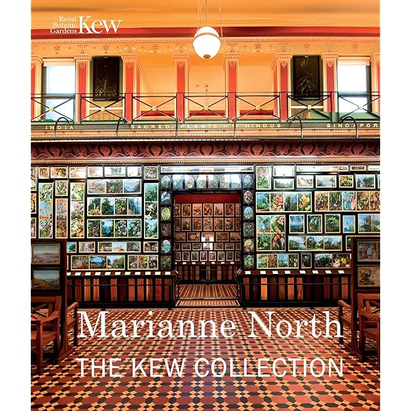 Amazon.com: Vincent FerranE Milky Way /anglais: 9789188113085