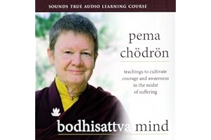 Bodhisattva Mind: Teachings to Cultivate Courage and Awareness in the Midst of Suffering