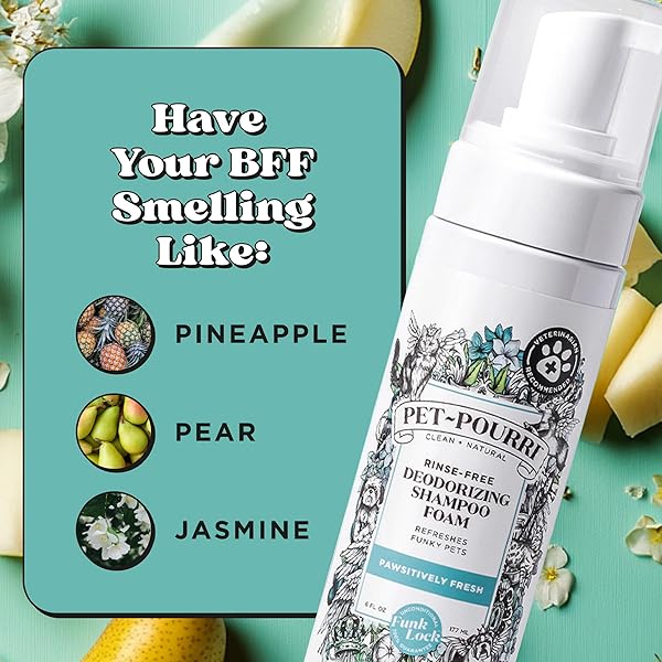 POO-POURRI RINSE-FREE DEODORIZING DRY SHAMPOO FOR DOGS & CATS – MOISTURIZING SKIN & COAT SOOTHING FORMULA – PLANT BASED INGREDIENTS – PINEAPPLE, JASMINE & PEAR – NO RINSE FOAM SHAMPOO FOR PET ODOR