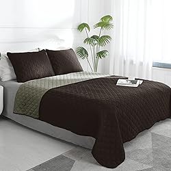 Easy-Going King Size Reversible Quilt Set with 1