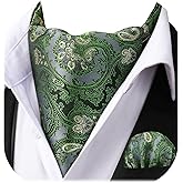 HISDERN Ascot Ties for Men Paisley Cravat Tie and Pocket Square Set Floral Mens Ascot Scarf Handkerchief Wedding Party