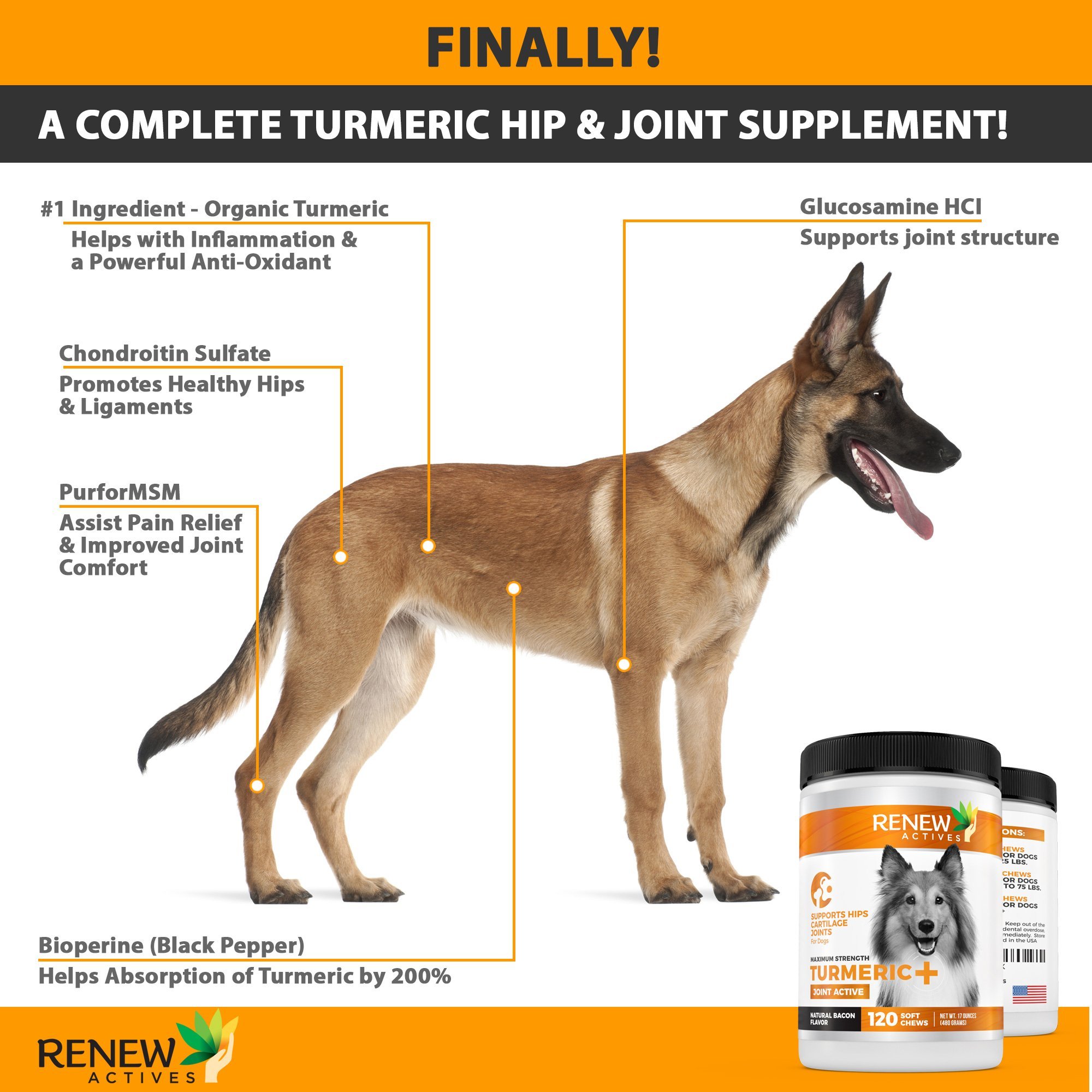 Dog Joint Pain Support Supplement Renew Actives Natural, Advanced Organic 710928947072 eBay