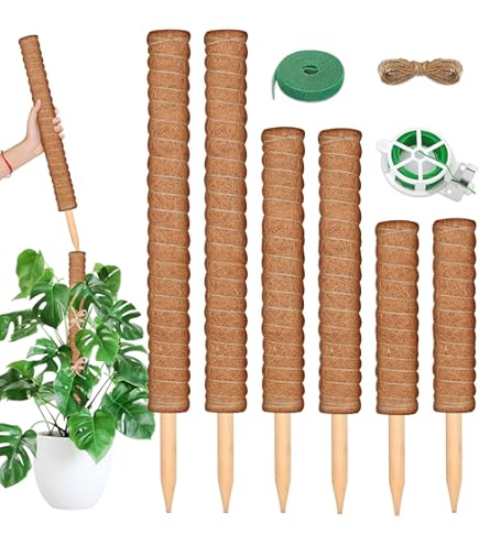Amazon.com : Joyhalo Moss Pole Monstera Plant Support, 6 Pcs 15.7