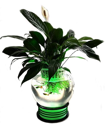 Homegrdn All In One Wireless Remote Led Light Stand Fish Bowl