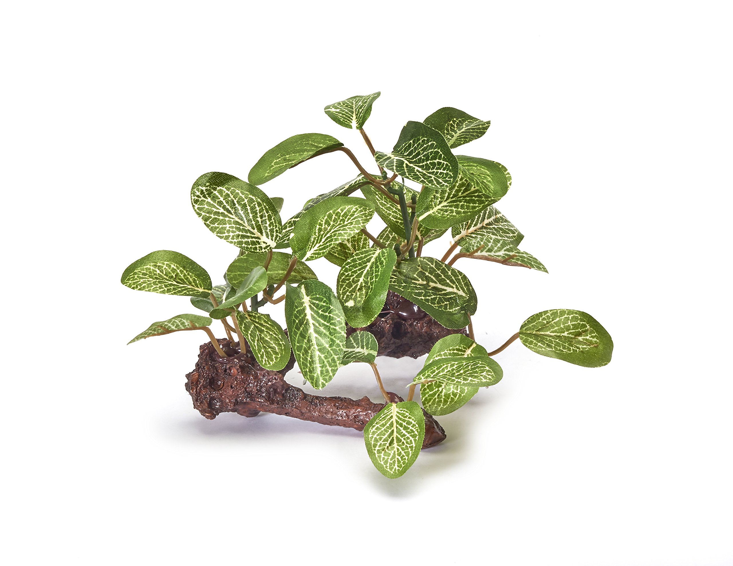 Pistachio Pet - Beautiful Realistic Aquarium Plant 4"/10cm On Log