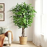Keeplush 5ft Ficus Artificial Trees with Natural Curved Trunks, 60" Tall Lush Faux Tree for Home Decor Indoor, Green Lifelike Fake Ficus Tree Artificial Plants
