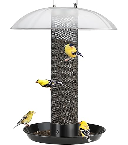 earlybird （No.16＋No.17）　B Amazon.com : Stokes Select 38194 Bird Feeder, Yellow (Pack of 2