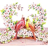 Cardinal Couple Pop Up Valentines Card, 3D Love Birds Anniversary Cards, Ideal Gift for Birthday, Wedding, Valentines, Mothers Day All Occasion for Wife, Her, Husband, Wife, Him, Boyfriend, Girlfriend