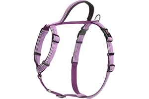 COMPANY OF ANIMALS HALTI Walking Harness - Lightweight Dog Harness with Handle, Reflective & Adjustable, Ideal for Puppy Walks, Suitable for Medium Dogs and Puppies (Size M, Purple)
