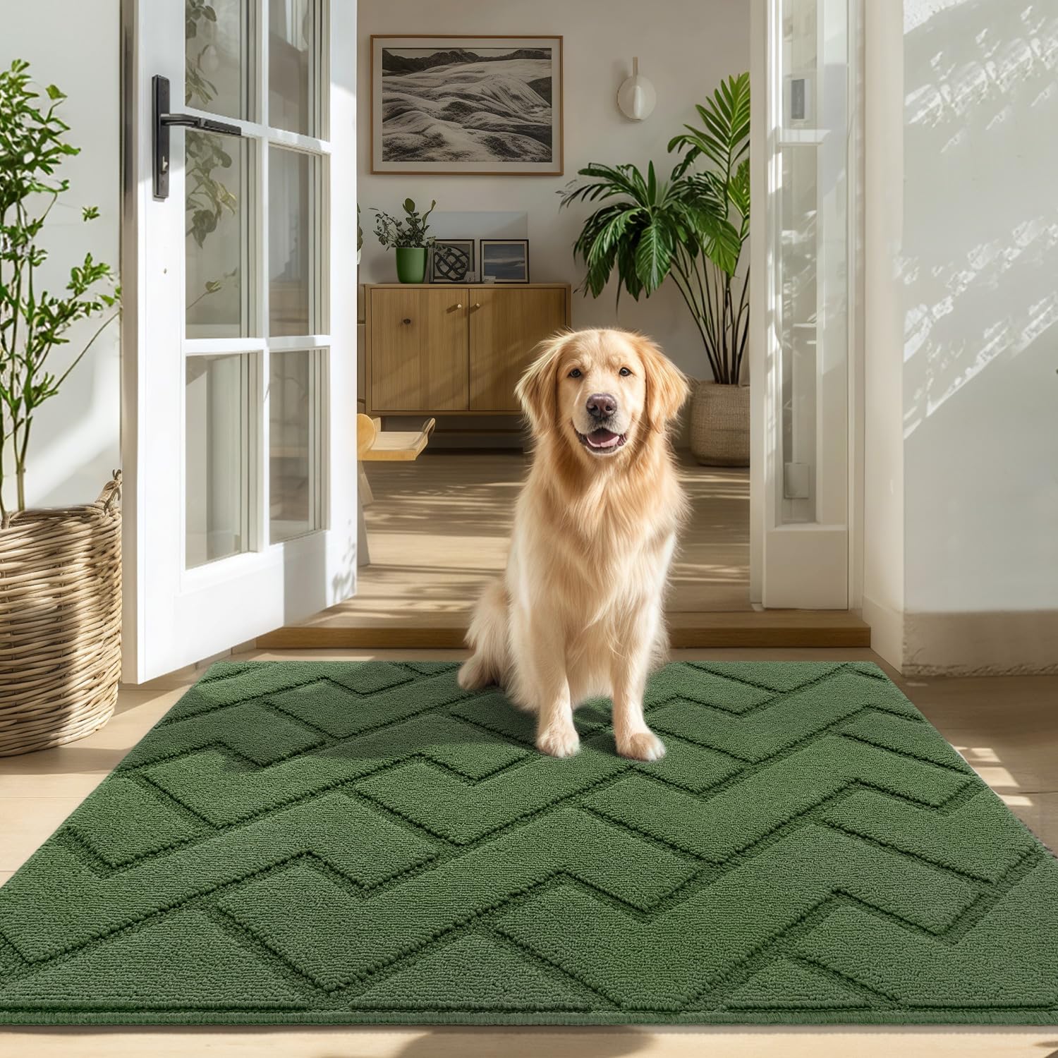 Biscpro Door Mat, 80x100cm DoorMat Indoor Washable, Doormat Indoor Dirt Trapper Non-slip,Absorbent Inside Entrance Rug Mat for Entryway,Patio,Garden,Laundry Room,Pets - Green
