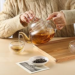 CnGlass 33.8oz Glass Teapot with Removable
