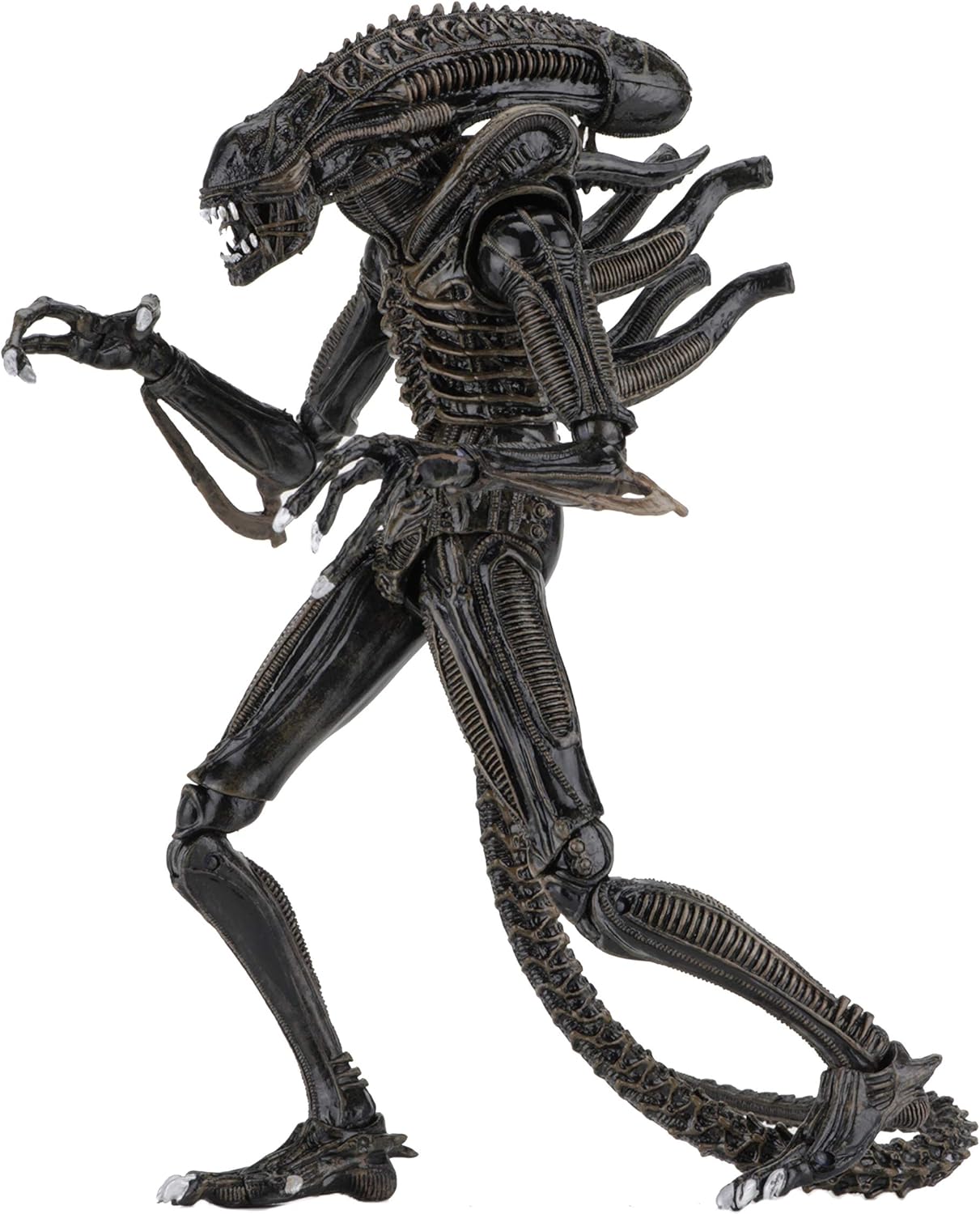 NECA Alien Brown Ultimate Warrior 1986 23cm Scale Action Figure Aliens, Color (NEC0NC51683, Marrón, 6 inches - Image 3