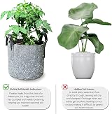 Growcery 5 Pack Fabric Plant Growing Bags 8L 12L 16L 20L Heavy Duty view 6