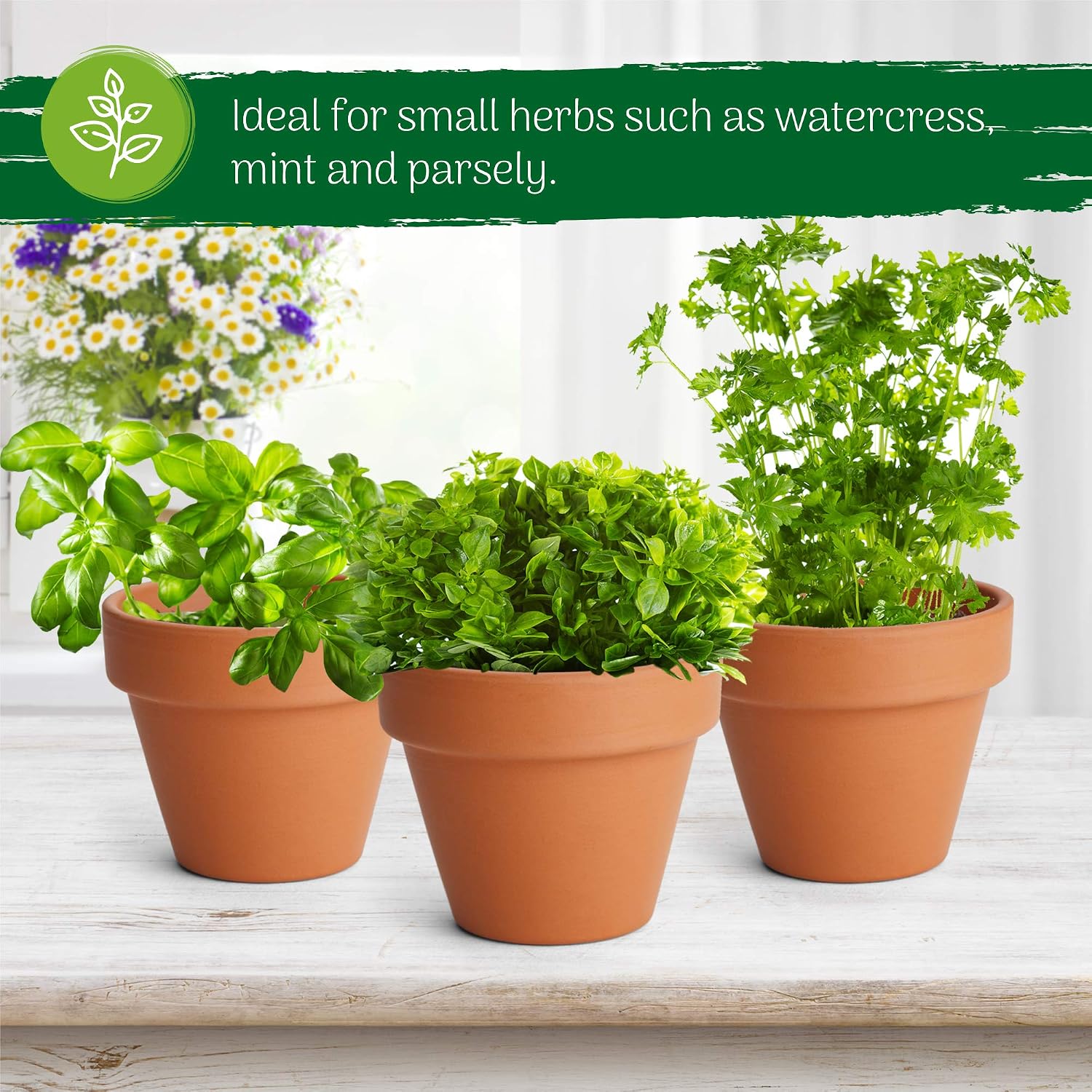 Green Thumbz Terracotta Plant Pots, 8cm x 16 Pack Small Plant Pots, Multi Purpose Mini Terracotta Pots for Plants Flowers - Image 5