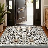 LUMI Indoor Door Mat for Entrance 26x46, Luxury Front Doormat with Non-Slip Latex Rubber Backing, Soft Washable Dirt Trapper, Flower Whipser (Rolled Package)