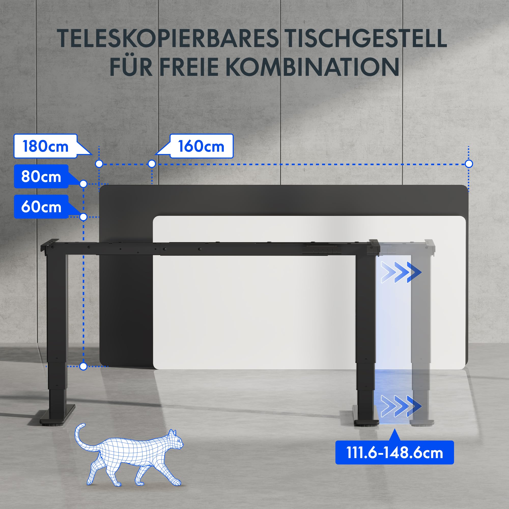 FLEXISPOT Elektrisch Höhenverstellbares Schreibtischgestell mit Dual-Motor & 3-stufigen Säulen, Sitz-Steh-Tisch Rahmen für Homeoffice & Büro, Höhenbereich 60–125 cm, Schwarz EC5-LITE 3
