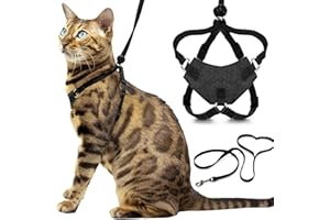 Houdini™ Escape Proof Cat Harness and Leash Set by OutdoorBengal – Black, Medium Cat Harness for Walking