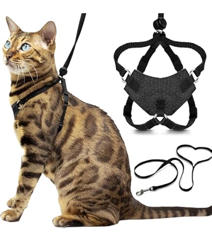 Travel Cat Harness and Bungee Leash Set - 2 in 1 Adjustable Escape