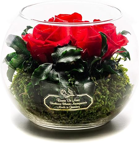 Rosen Te Amo Stylischer Blumenstrauss Aus 3 Konservierte Rote Rosen In Kugel Vase Infinity Rosen Im Glass Handgefertigt Aus 100 Echten Dekorativen Pflanzen Und Moose Haltbar Ohne Wasser Amazon De Garten