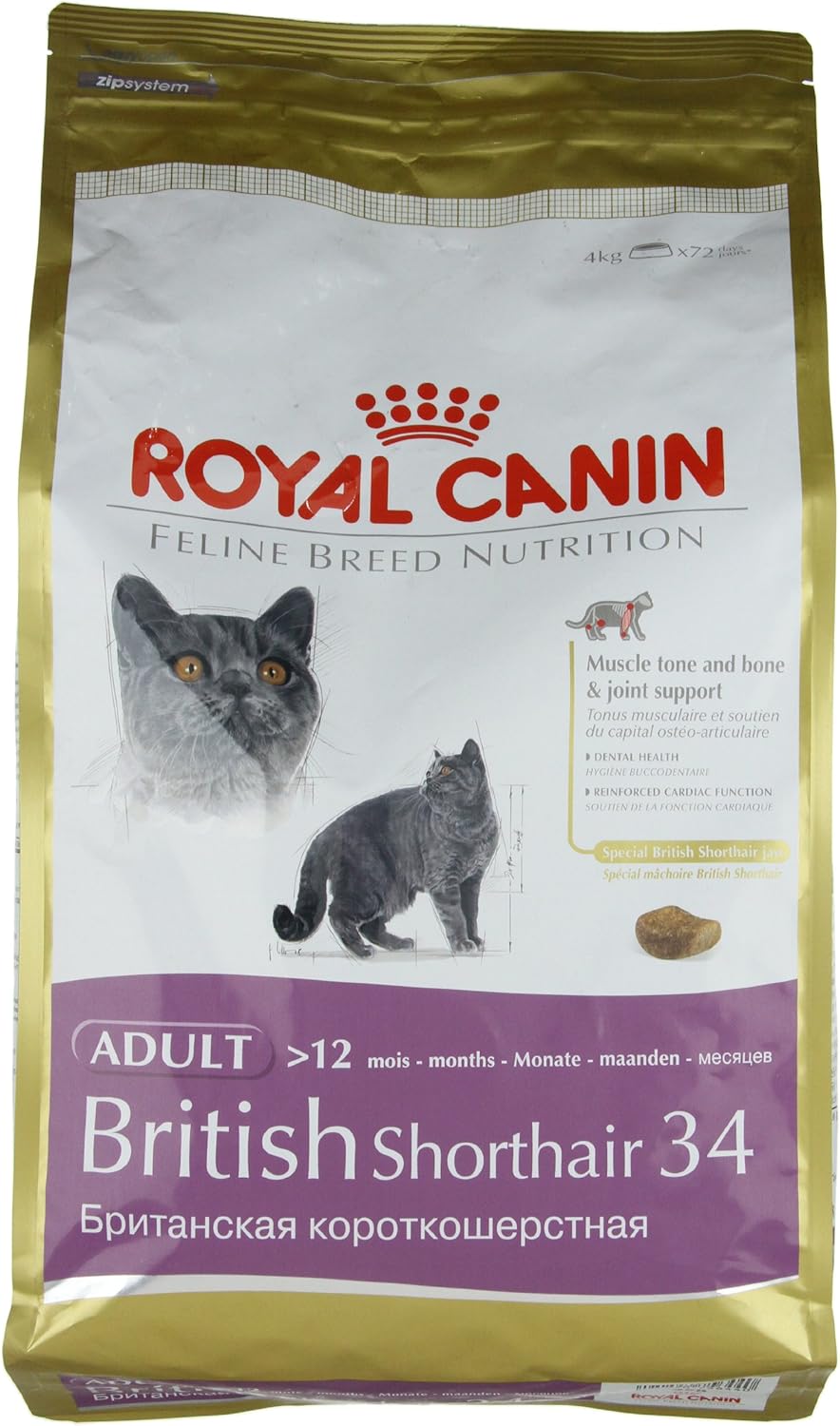 royal canin british shorthair kitten 4kg