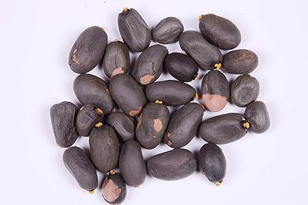 RK Seeds - Sterculia foetida seeds
