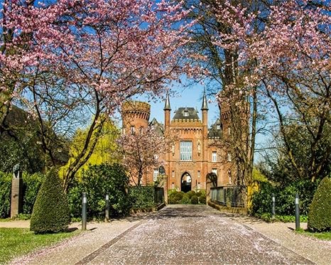Amazoncom Aofoto 10x8ft Retro Manor Background Spring Cherry