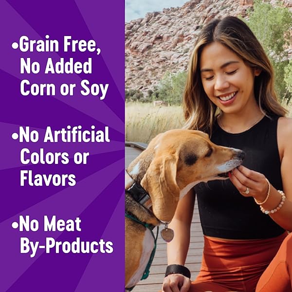 WELLNESS CRUNCHY PUPPY BITES DOG TRAINING TREATS, NATURAL, GRAIN FREE, CHICKEN AND CARROT RECIPE, 6 OZ BAG