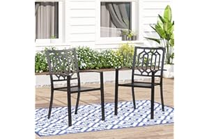MFSTUDIO Outdoor Chairs Set of 2, Iron Metal Dining 300 LBS Weight Capacity Patio Bistro Chairs with Armrest,Black