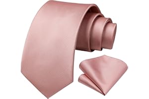 HISDERN Mens Ties Solid Color Ties for Men Formal Necktie with Pocket Square Set Satin Silk Neck Tie Handkerchiefs Set