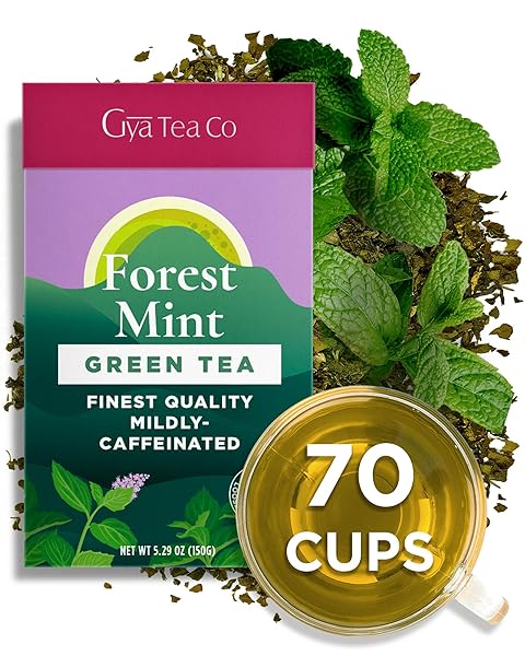 GYA TEA CO FOREST MINT GREEN TEA LOOSE...