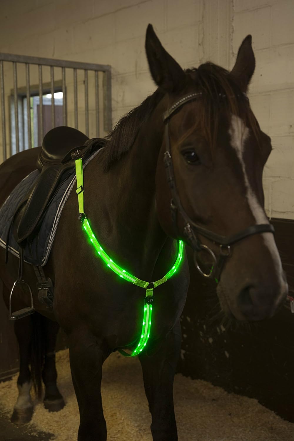 LED Horse Breastplate Collar USB Rechargeable Best High Visibility